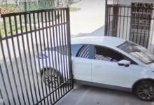 女子开车进院被铁门剐蹭 一顿操作猛如虎 车损300变3000 - v2ra小站