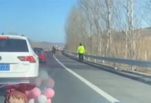 一小牛误入高速撒欢狂奔!大巴车老司机出手别停 - v2ra小站