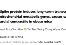 新冠诱发心肌炎原因找到!线粒体代谢基因表达受抑、高脂饮食者更易得 - v2ra小站