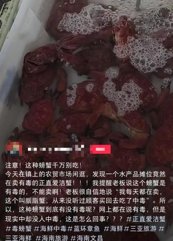 蓝环章鱼后又现毒螃蟹 正直爱洁蟹听说过没？体内会累计毒素 - v2ra小站