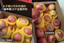 女子晒公司年终发一箱苹果15个全坏 背后细节更令人气愤 - v2ra小站