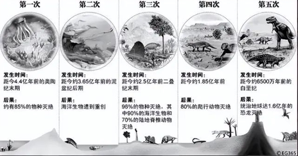 2.5亿年前 96%的物种突然消失！中国学者有了重大发现 - v2ra小站